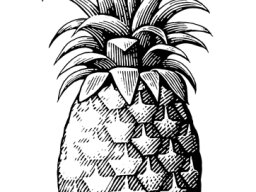 Pineapple art